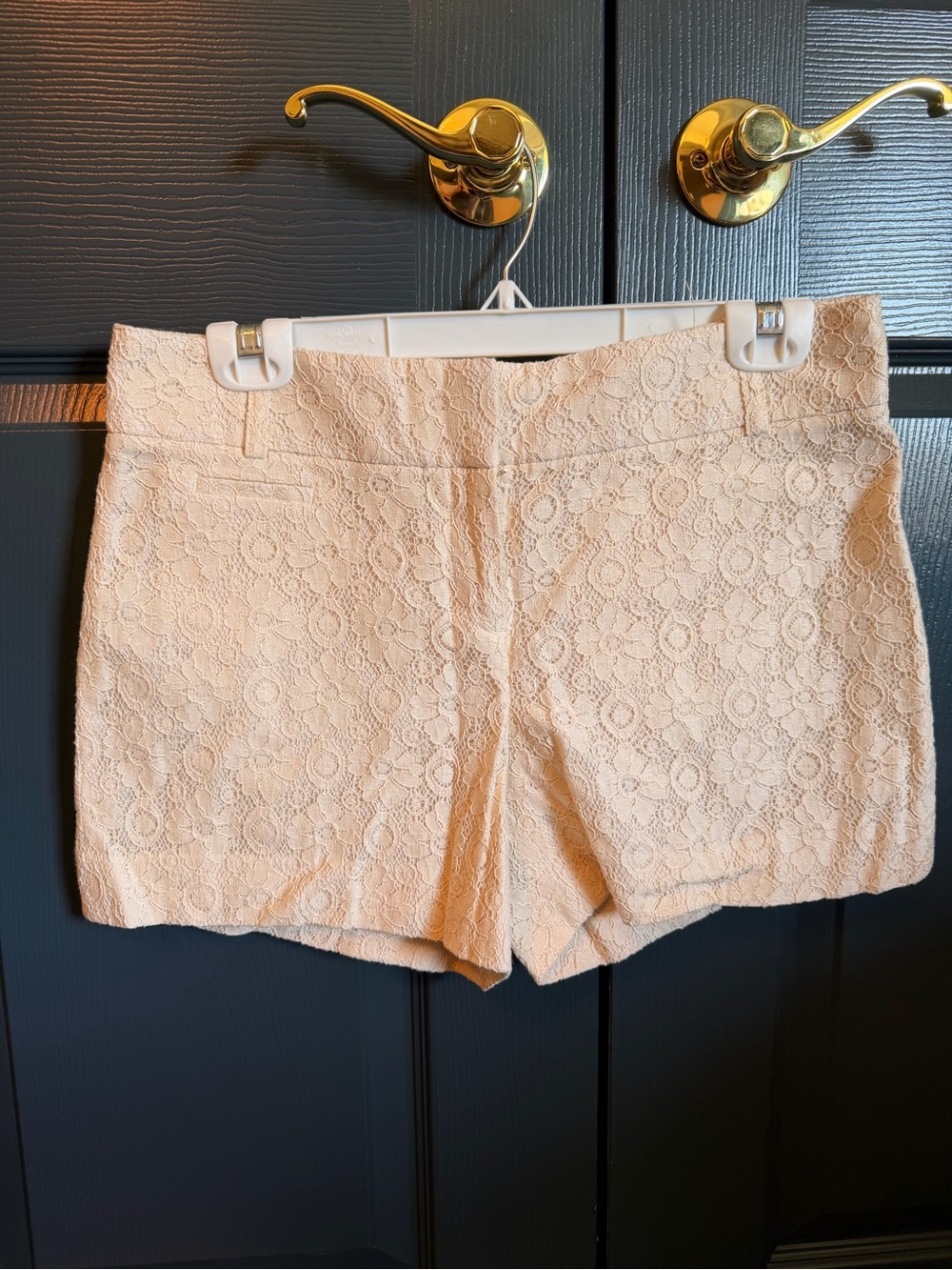 LOFT Lace High-Waist Shorts in Cream